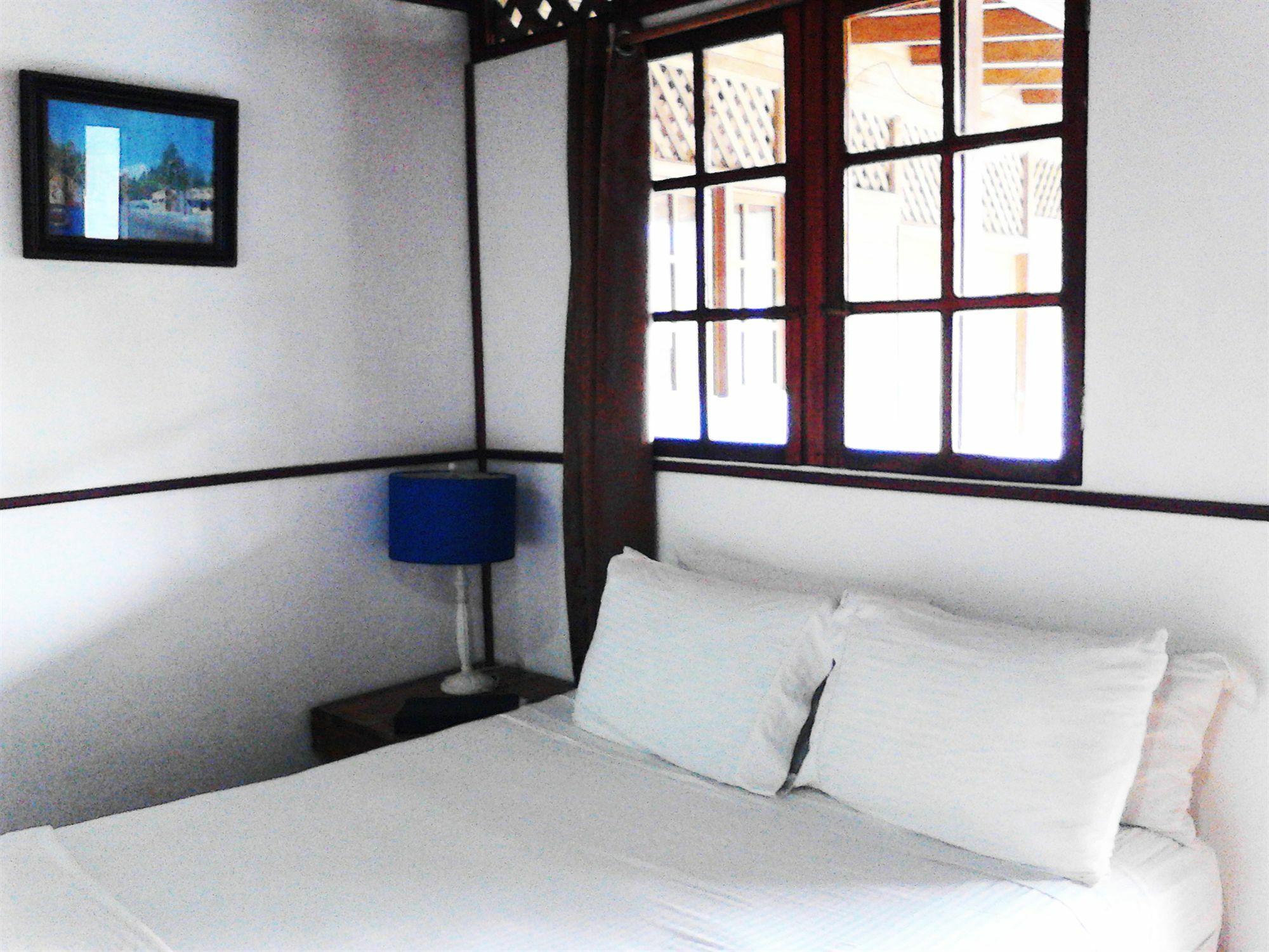 Lizard King Resort Puerto Viejo de Talamanca Exterior foto